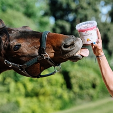 Candy Horse Pferdeleckerlis Hooves 1,2 Liter Eimer